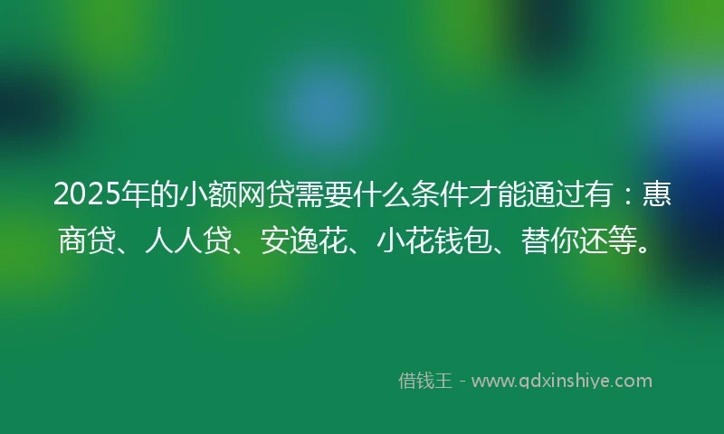 2025年的小额网贷需要什么条件才能通过有：惠商贷、人人贷、安逸花、小花钱包、替你还等。
