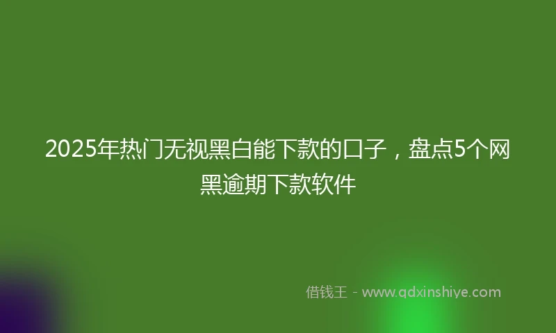 2025年热门无视黑白能下款的口子，盘点5个网黑逾期下款软件