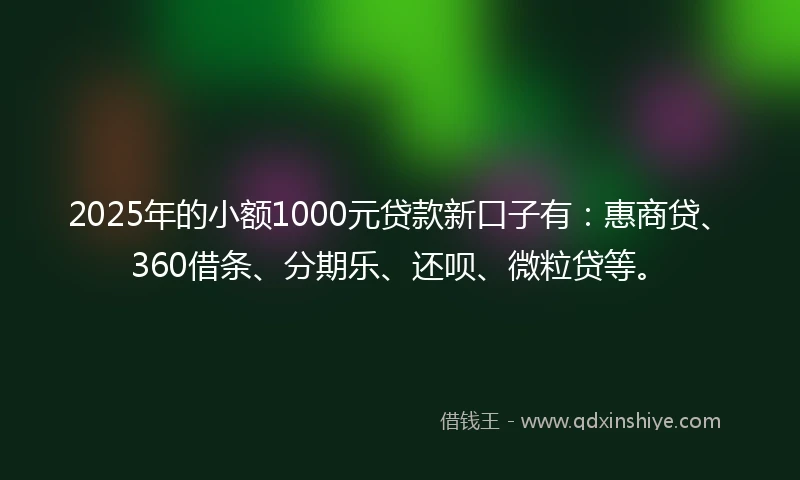 2025年的小额1000元贷款新口子有：惠商贷、360借条、分期乐、还呗、微粒贷等。