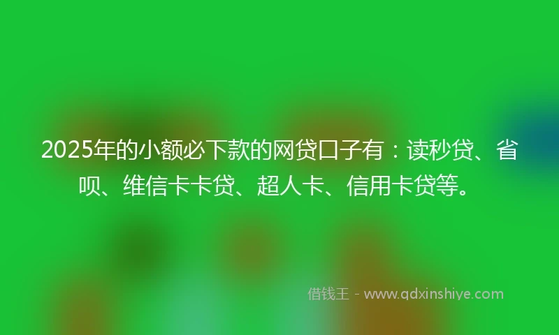 2025年的小额必下款的网贷口子有：读秒贷、省呗、维信卡卡贷、超人卡、信用卡贷等。