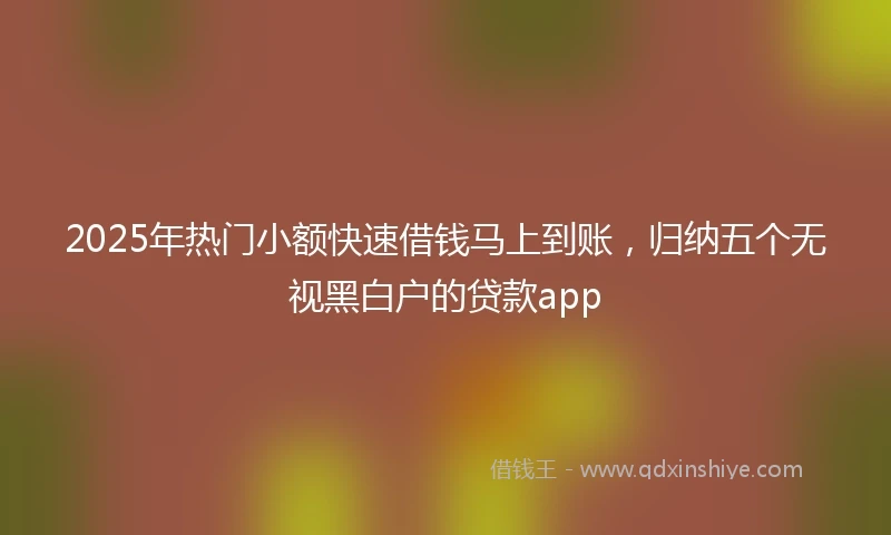 2025年热门小额快速借钱马上到账，归纳五个无视黑白户的贷款app