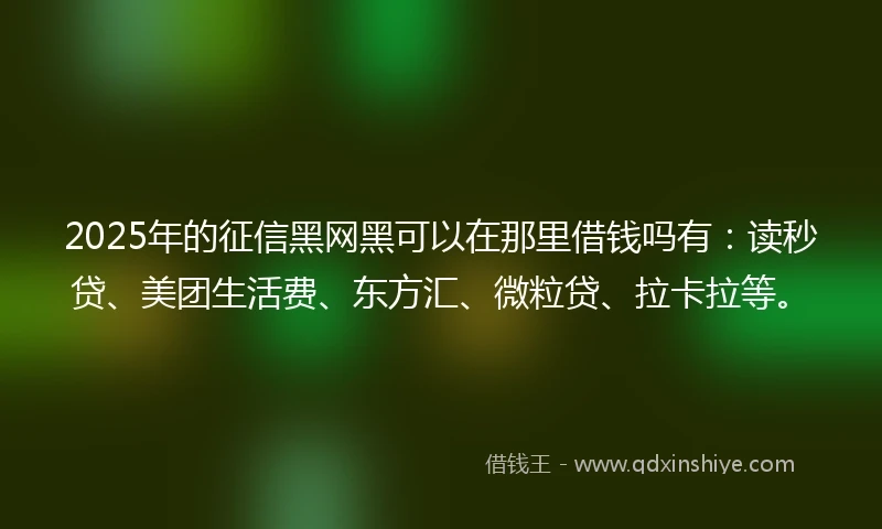 2025年的征信黑网黑可以在那里借钱吗有：读秒贷、美团生活费、东方汇、微粒贷、拉卡拉等。