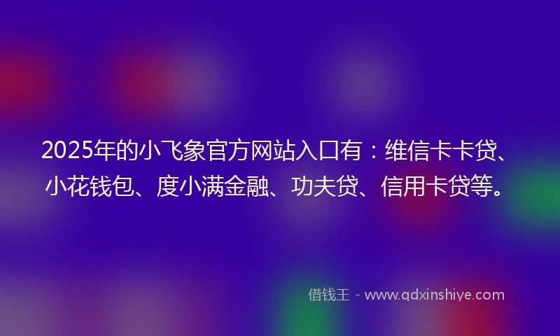 2025年的小飞象官方网站入口有：维信卡卡贷、小花钱包、度小满金融、功夫贷、信用卡贷等。
