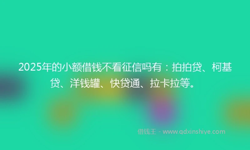 2025年的小额借钱不看征信吗有：拍拍贷、柯基贷、洋钱罐、快贷通、拉卡拉等。