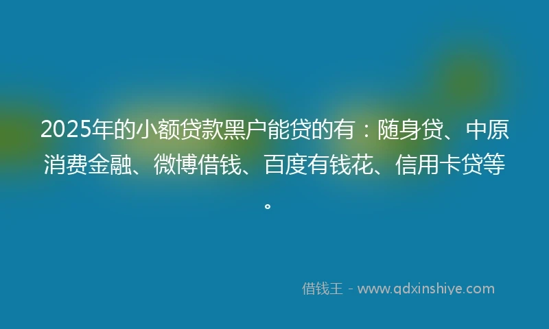 2025年的小额贷款黑户能贷的有：随身贷、中原消费金融、微博借钱、百度有钱花、信用卡贷等。