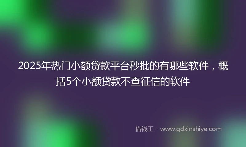 2025年热门小额贷款平台秒批的有哪些软件，概括5个小额贷款不查征信的软件