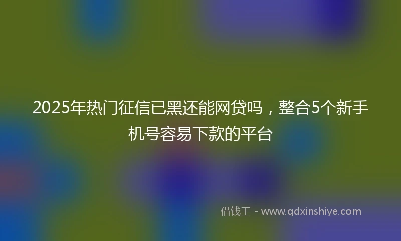 2025年热门征信已黑还能网贷吗，整合5个新手机号容易下款的平台