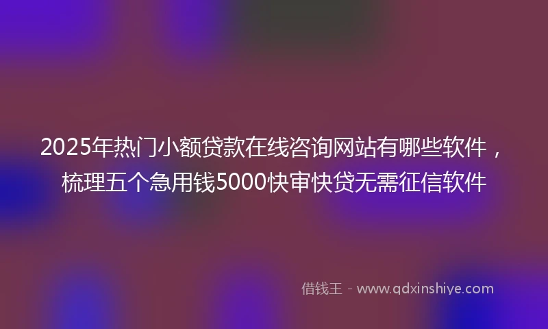 2025年热门小额贷款在线咨询网站有哪些软件，梳理五个急用钱5000快审快贷无需征信软件