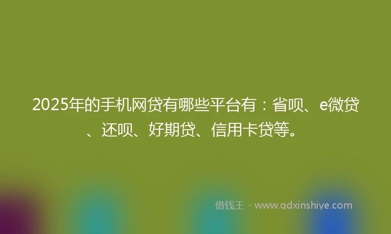 2025年的手机网贷有哪些平台有：省呗、e微贷、还呗、好期贷、信用卡贷等。