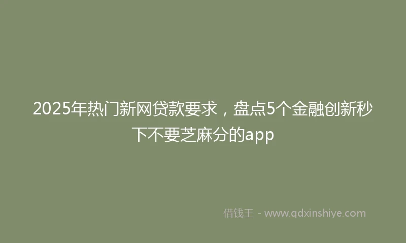 2025年热门新网贷款要求，盘点5个金融创新秒下不要芝麻分的app