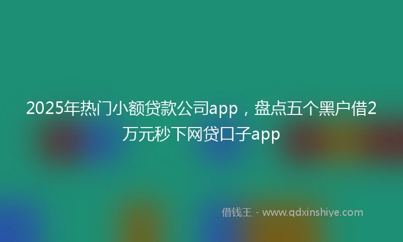 2025年热门小额贷款公司app，盘点五个黑户借2万元秒下网贷口子app