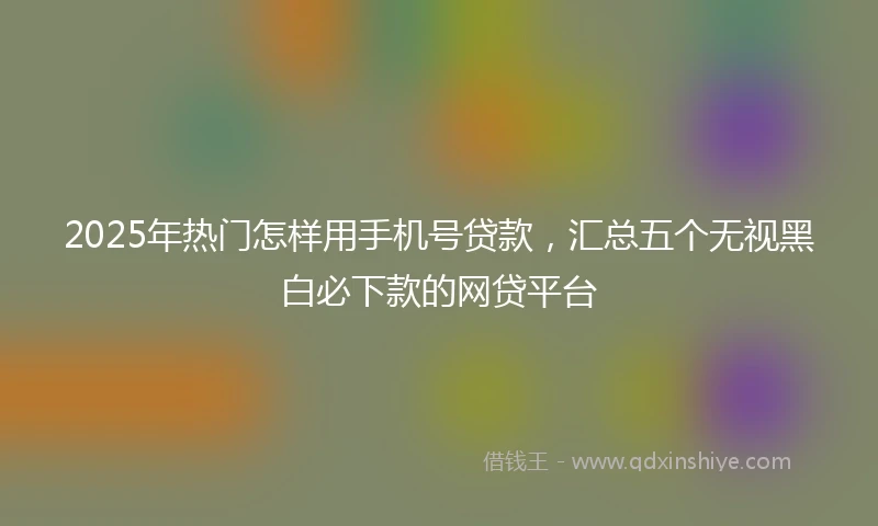 2025年热门怎样用手机号贷款，汇总五个无视黑白必下款的网贷平台