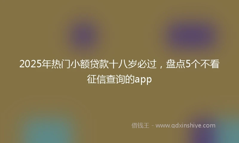 2025年热门小额贷款十八岁必过，盘点5个不看征信查询的app