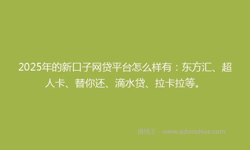 2025年的新口子网贷平台怎么样有：东方汇、超人卡、替你还、滴水贷、拉卡拉等。