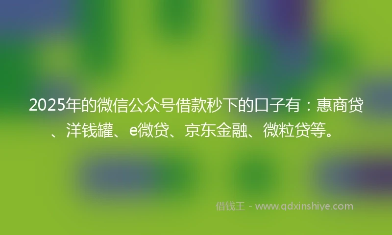 2025年的微信公众号借款秒下的口子有：惠商贷、洋钱罐、e微贷、京东金融、微粒贷等。