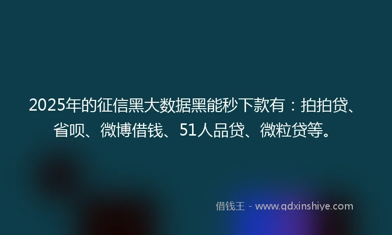 2025年的征信黑大数据黑能秒下款有：拍拍贷、省呗、微博借钱、51人品贷、微粒贷等。