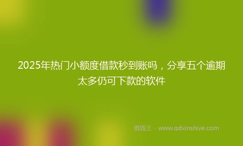 2025年热门小额度借款秒到账吗，分享五个逾期太多仍可下款的软件