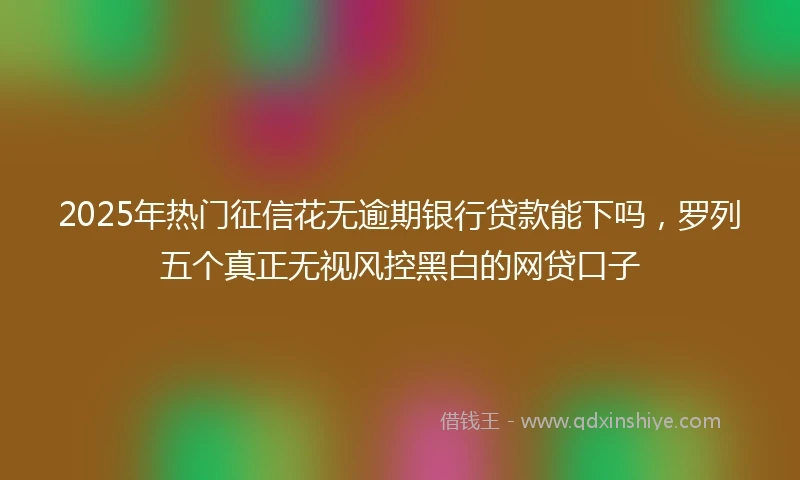 2025年热门征信花无逾期银行贷款能下吗，罗列五个真正无视风控黑白的网贷口子