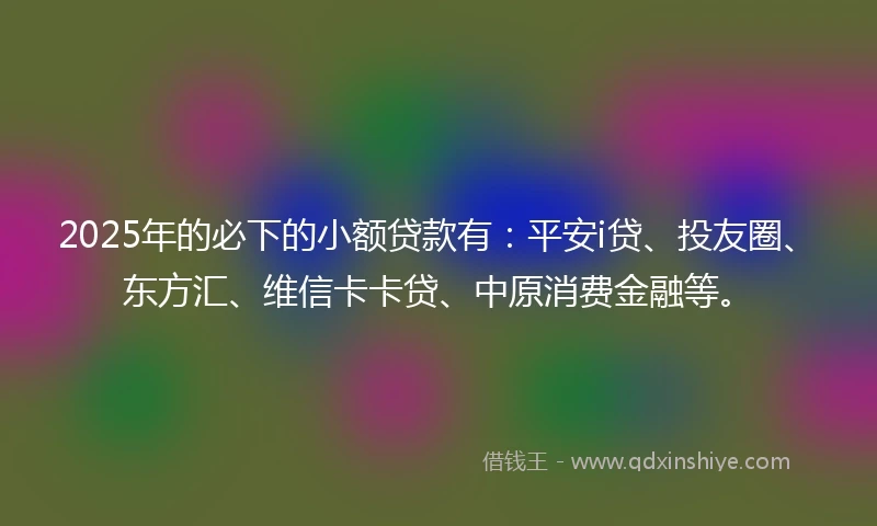 2025年的必下的小额贷款有：平安i贷、投友圈、东方汇、维信卡卡贷、中原消费金融等。
