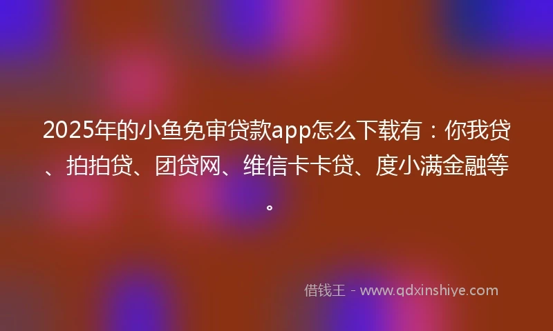 2025年的小鱼免审贷款app怎么下载有：你我贷、拍拍贷、团贷网、维信卡卡贷、度小满金融等。