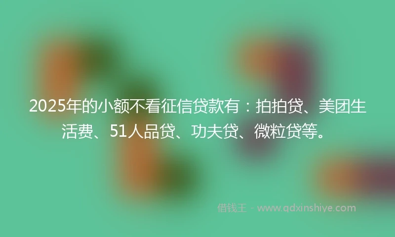 2025年的小额不看征信贷款有：拍拍贷、美团生活费、51人品贷、功夫贷、微粒贷等。