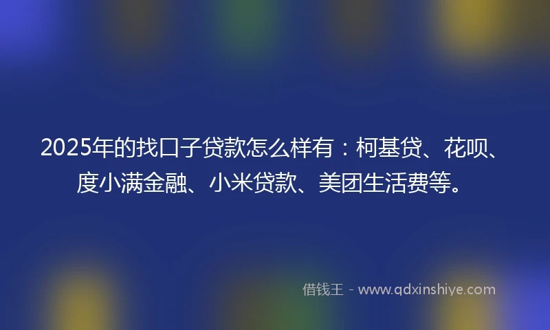2025年的找口子贷款怎么样有：柯基贷、花呗、度小满金融、小米贷款、美团生活费等。