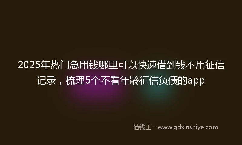 2025年热门急用钱哪里可以快速借到钱不用征信记录，梳理5个不看年龄征信负债的app