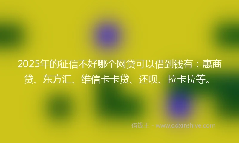 2025年的征信不好哪个网贷可以借到钱有：惠商贷、东方汇、维信卡卡贷、还呗、拉卡拉等。