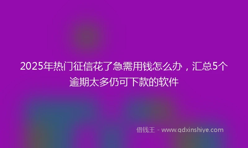 2025年热门征信花了急需用钱怎么办，汇总5个逾期太多仍可下款的软件