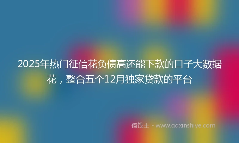 2025年热门征信花负债高还能下款的口子大数据花,整合五个12月独家贷款的平台