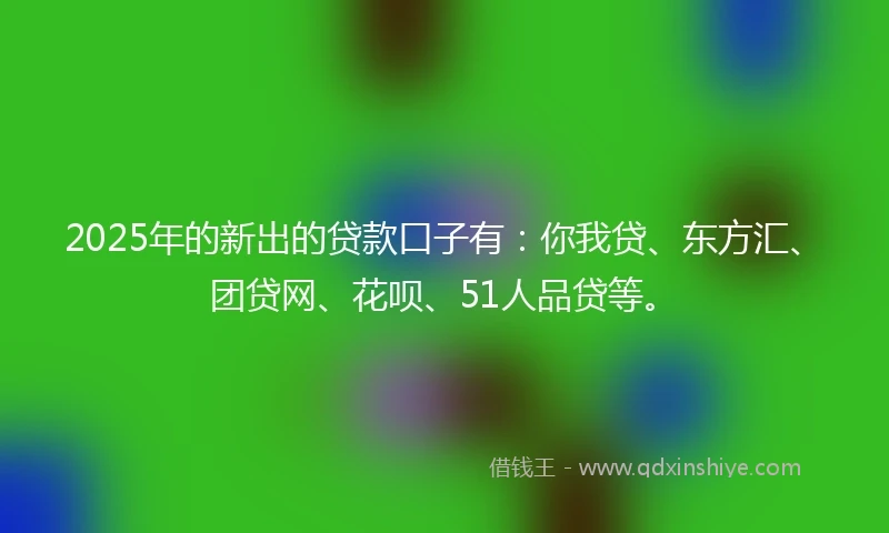 2025年的新出的贷款口子有：你我贷、东方汇、团贷网、花呗、51人品贷等。