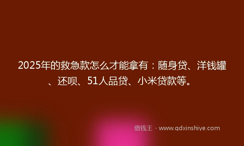 2025年的救急款怎么才能拿有：随身贷、洋钱罐、还呗、51人品贷、小米贷款等。