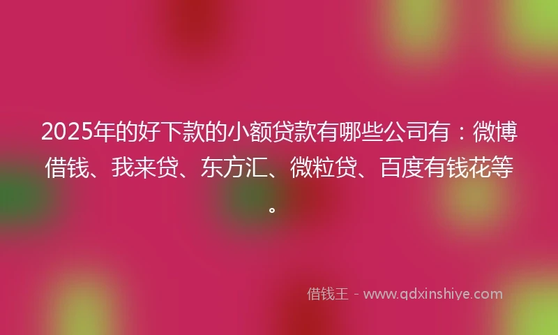 2025年的好下款的小额贷款有哪些公司有：微博借钱、我来贷、东方汇、微粒贷、百度有钱花等。