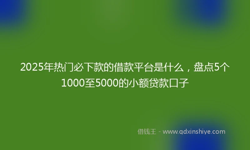 2025年热门必下款的借款平台是什么，盘点5个1000至5000的小额贷款口子