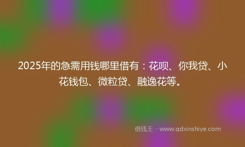 2025年的急需用钱哪里借有：花呗、你我贷、小花钱包、微粒贷、融逸花等。