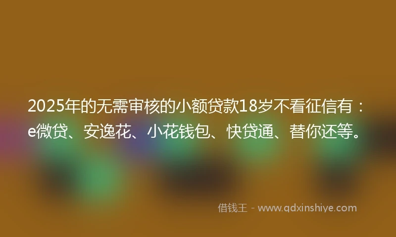 2025年的无需审核的小额贷款18岁不看征信有：e微贷、安逸花、小花钱包、快贷通、替你还等。