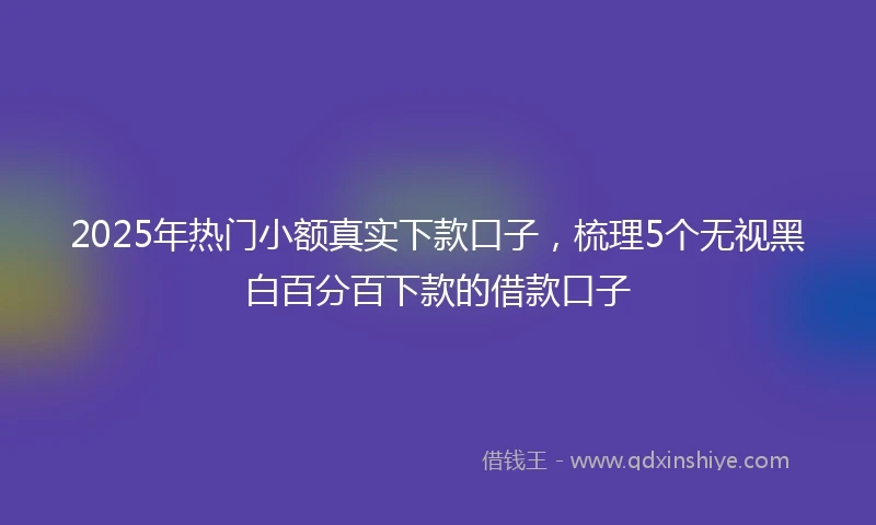 2025年热门小额真实下款口子，梳理5个无视黑白百分百下款的借款口子