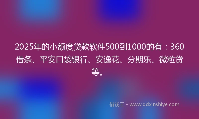 2025年的小额度贷款软件500到1000的有：360借条、平安口袋银行、安逸花、分期乐、微粒贷等。