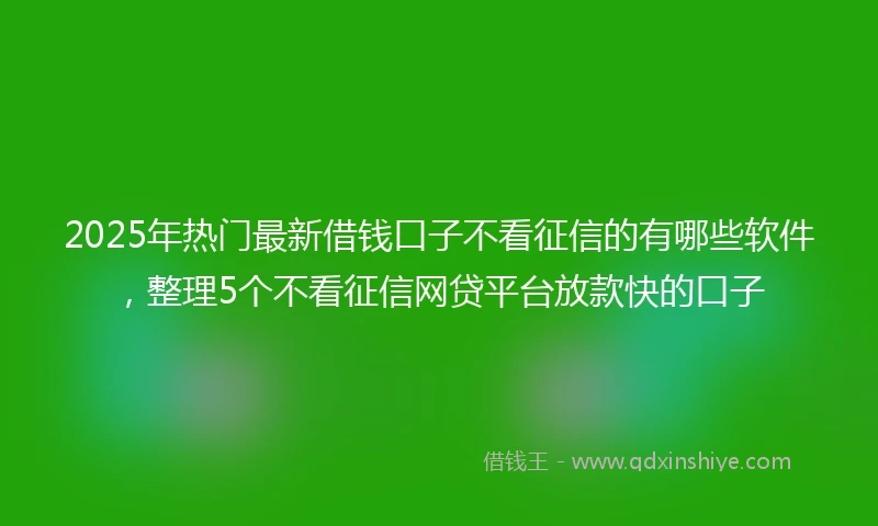 2025年热门最新借钱口子不看征信的有哪些软件，整理5个不看征信网贷平台放款快的口子