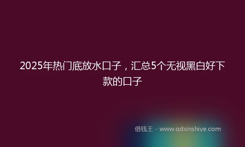 2025年热门底放水口子，汇总5个无视黑白好下款的口子