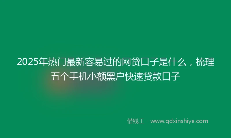 2025年热门最新容易过的网贷口子是什么，梳理五个手机小额黑户快速贷款口子