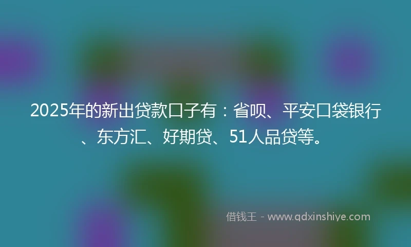 2025年的新出贷款口子有：省呗、平安口袋银行、东方汇、好期贷、51人品贷等。