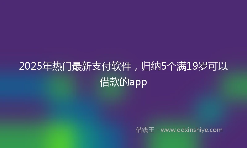 2025年热门最新支付软件，归纳5个满19岁可以借款的app