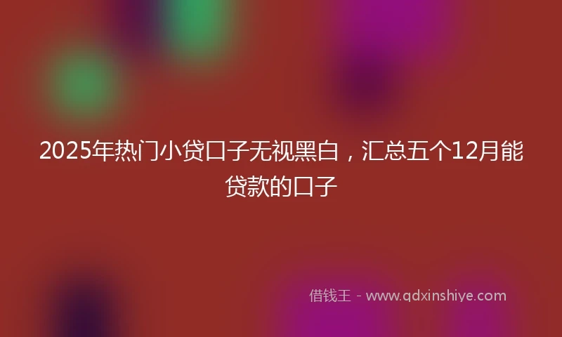 2025年热门小贷口子无视黑白，汇总五个12月能贷款的口子