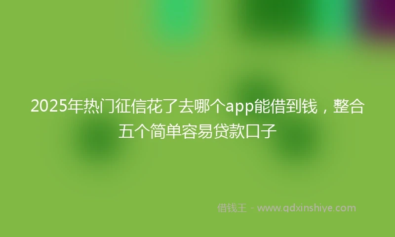 2025年热门征信花了去哪个app能借到钱，整合五个简单容易贷款口子