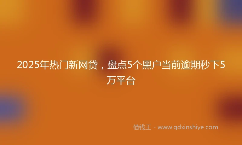 2025年热门新网贷，盘点5个黑户当前逾期秒下5万平台