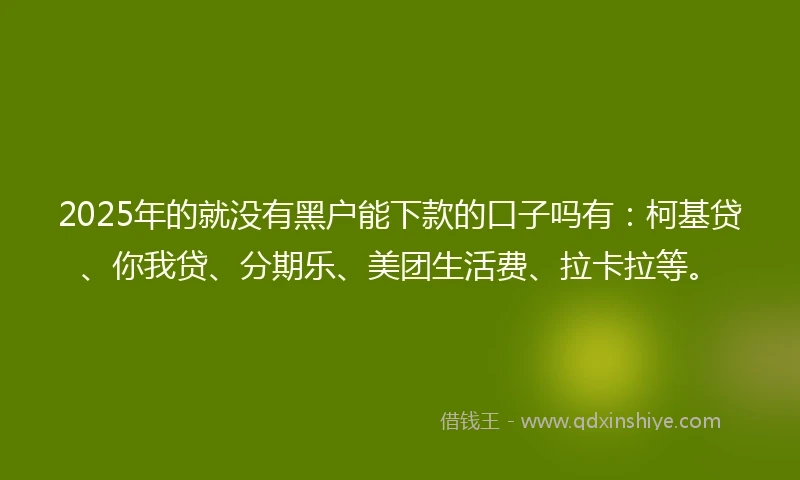 2025年的就没有黑户能下款的口子吗有：柯基贷、你我贷、分期乐、美团生活费、拉卡拉等。