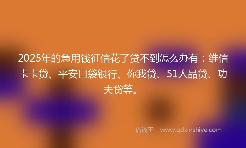 2025年的急用钱征信花了贷不到怎么办有：维信卡卡贷、平安口袋银行、你我贷、51人品贷、功夫贷等。