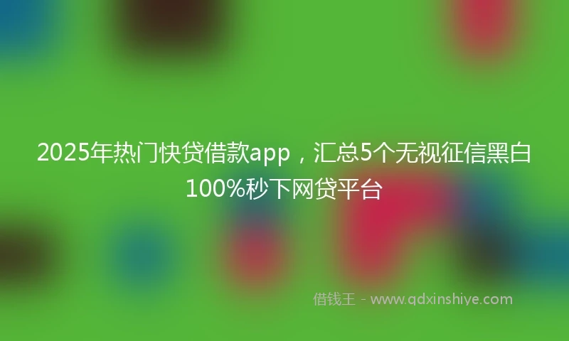 2025年热门快贷借款app，汇总5个无视征信黑白100%秒下网贷平台