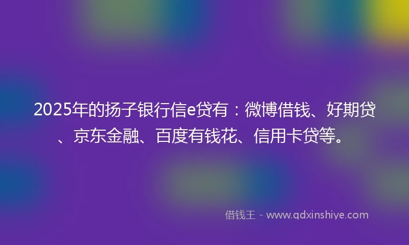 2025年的扬子银行信e贷有：微博借钱、好期贷、京东金融、百度有钱花、信用卡贷等。